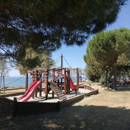 Apartment Vera, 80 M From The Sea Novigrad Istria Εξωτερικό φωτογραφία