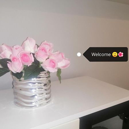 Apartment Vera, 80 M From The Sea Novigrad Istria Εξωτερικό φωτογραφία