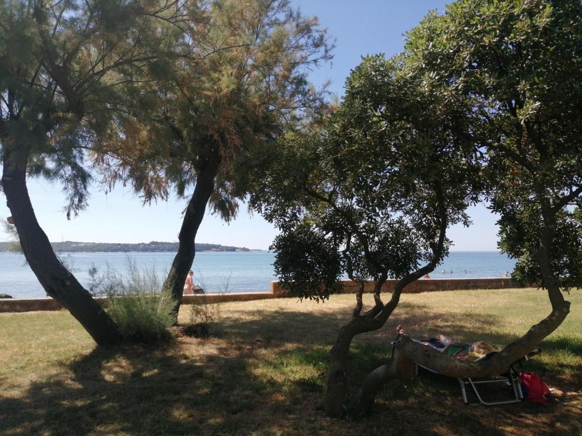Apartment Vera, 80 M From The Sea Novigrad Istria Εξωτερικό φωτογραφία