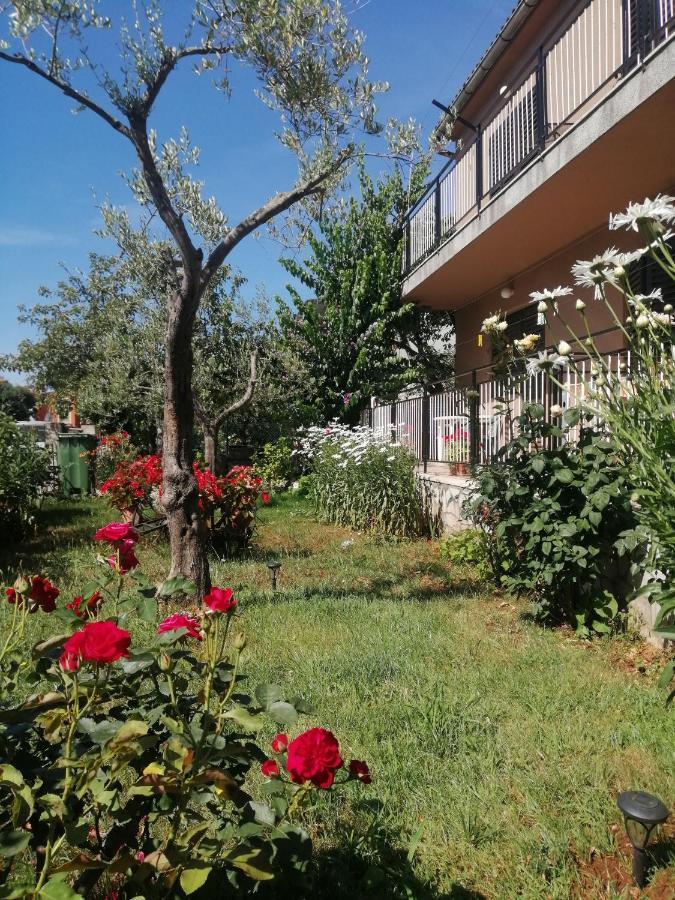 Apartment Vera, 80 M From The Sea Novigrad Istria Εξωτερικό φωτογραφία